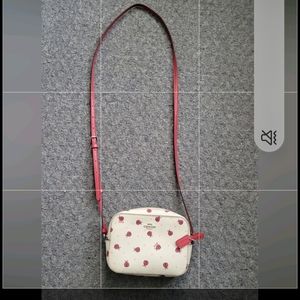 Coach Mini bag.